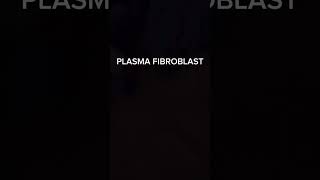 Plasma Fibroblast NonSurgical Skin Renewal [upl. by Manheim]