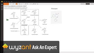 drug metabolism and drug detection [upl. by Enyalb955]