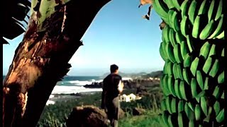 Gran Canaria en 1954  Las Palmas Monolito El Nublo Roque Bentayga Pinar Tamadaba [upl. by Elleuqar]