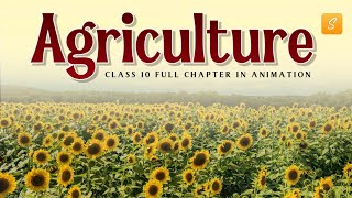 Agriculture class 10 full chapter Animation  class 10 geography chapter 4  CBSE  NCERT [upl. by Thais943]