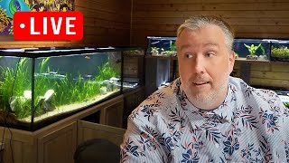 3 New Products at Aquarium CoOp Shopping Channel Live Stream [upl. by Onra260]