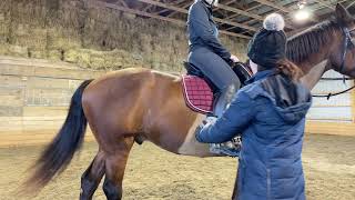 Dressage lesson dec 13 2021 [upl. by Bunnie953]