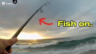 The weekend lure Angler 1st December shad bite [upl. by Ihcehcu]