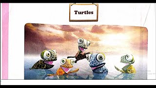 Astragen Class1st standard English TURTLES Chapter4 Rhyme  Poem [upl. by Adym]