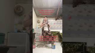 Cara Supaya Cepat Di Monet subscribe semuaorang comedy lucu funnyshorts funnyvideo [upl. by Knight763]