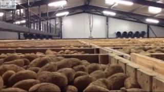 Potato storage by Klimtop Controls [upl. by Naloc]