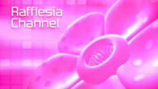 RAFFLESIA CHANNEL [upl. by Karalee]