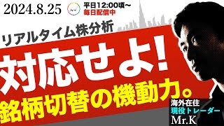 【重要】銘柄によって動きがバラバラ。機動的に対応することが大切なフェーズ [upl. by Andras]