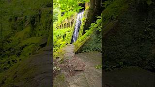 Videoschneiden der wunderschönen Natur 📍Lohmen Deutschland Saxony [upl. by Eenet]