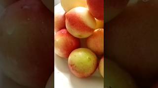 Nectarines are beneficial although there may be contraindications health fruit healthyfood life [upl. by Erlond]