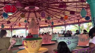 Magic kingdom Mad Tea Party ride [upl. by Sherilyn]