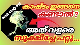 എല്ലാ കോഴികളിലും കണ്ടുവരുന്ന മാരകമാകാവുന്ന ഒരു രോഗം pulloram disease in poultry [upl. by Boccaj442]