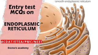 Endoplasmic reticulum MCQs  Entry test MCQs on Endoplasmic reticulum  MDCAT MCQs on ER [upl. by Fowle]