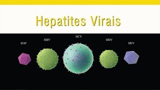 Hepatites Virais [upl. by Alekram]