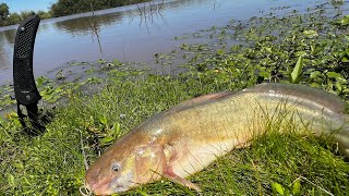 2 DÍAS PESCANDO “ Pesca y Cocina “ Naturaleza y Exploración [upl. by Hekker]