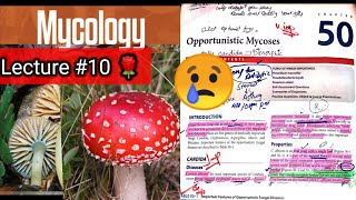 Opportunistic Mycoses 🛑 Chap 50 part 1k candida cryptococcus aspergillus mucor rhizopus [upl. by Seraphim777]