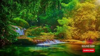 Serene Harmony  Relaxing Music and Nature Sound Stress Relief Peaceful Piano Music Sleep Music [upl. by Eaner]