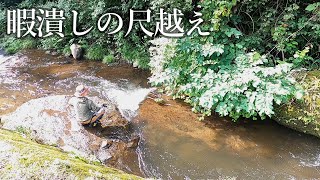 【渓流釣り】ズボラに釣る尺岩魚 [upl. by Infield]