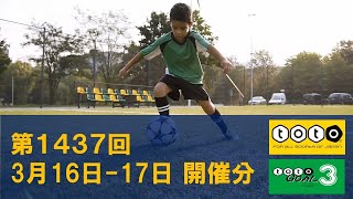 【toto】第1437回 toto予想 totoGOAL3予想も 【Jリーグ】 [upl. by Madanhoj]