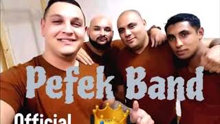 Pefek Band 2020 Pale dajory COVER [upl. by Yasdnyl631]