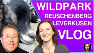 Familien Vlog Ausflug mit den Kindern I Tipp WILDPARK REUSCHENBERG in NRW I WildparkCheck 1 [upl. by Rizas685]