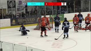 Solway Sharks Vs Telford Tigers 30th Dec 2023 HIGHLIGHTS [upl. by Fabio]