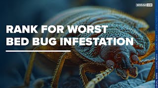 Worst Cities for Bed Bug Infestations [upl. by Shari]