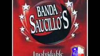 Inolvidable  Banda Saucillos [upl. by Neevan291]