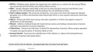 Phenol chloroform DNA extraction method [upl. by Chrystel485]