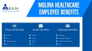 Molina Healthcare Employee Benefits  Upoint Digital Molina  digitalalightcommolinahealthcare [upl. by Platus973]