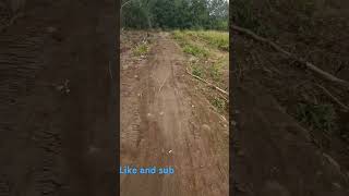 building mountain bike trail part 4 added new log gap jump mtb [upl. by Addi]