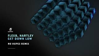 FlexB Hartley  Get Down Low No Hopes Remix [upl. by Jehius]