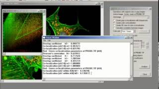 3D Colocalization in ImagePro Plus [upl. by Alic]