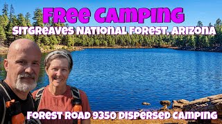 Free Camping Payson Arizona  Sitgreaves National Forest  FR 9350 Dispersed Camping Review [upl. by Letreece]