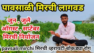 पावसाळी मिरची लागवड  Pavsali Mirchi lagwad  जून जुलै ऑगस्ट सप्टेंबर मिरची लागवड  Milind bhor [upl. by Aeslehc]