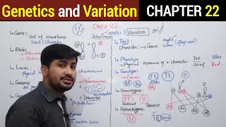 221 Variation and genetics basic definitions of genetics  Fsc Biology class12 [upl. by Enitsenre]