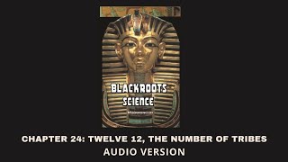 Chapter 24 Twelve 12 The Number Of Tribes  Blackroots Science Vol 1 [upl. by Oringa487]