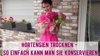 Hortensien trocknen  so einfach kann ich sie konservieren [upl. by Becht]