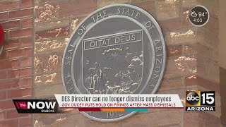 DES director can no longer dismiss employees [upl. by Letch636]