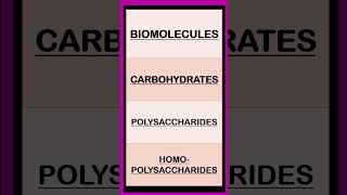 Carbohydrates Biomolecules Biochemistry shorts  Monosaccharides Disaccharides Polysaccharides [upl. by Sandro]