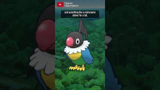 Chatot is a gimmick that lost its gimmick poor thing  pokemon [upl. by Liberati229]