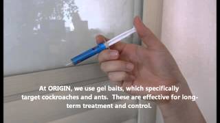 Effective Gel Baiting for Cockroaches amp Ants by ORIGIN Exterminators [upl. by Wivina519]