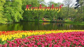 Keukenhof 2018 [upl. by Akirdna]