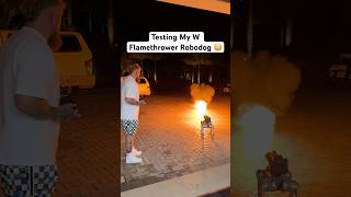 Testing My New W Flamethrower Robodog 😳 [upl. by Amalie]