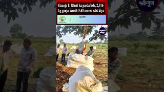 Gaanja Ki Kheti Ka Pardafash  2816 Kg Ganja Worth 563 Crores Zabt Kiya Mumbai Police ANC Bandra [upl. by Elmina]