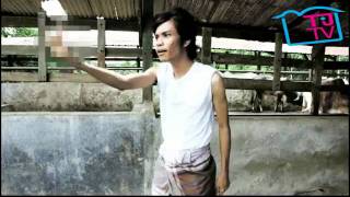 Lembu Nak Jaga aka Moves Like Jagger [upl. by Ojok118]