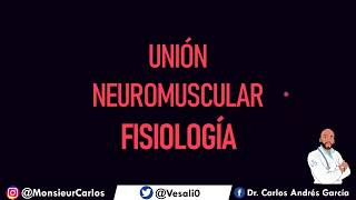 Fisiología  Union Neuromuscular Liberación y Secuestro de Acetilcolina [upl. by Richel]