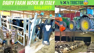 Dairy farm work in italy farm da kam italy vich punjabies workcow farming punjabi vlog4x4tractor [upl. by Dorisa]