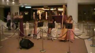 Believe Me if all those Endearing Young Charms  Harp amp Flute Ensemble [upl. by Sivel]