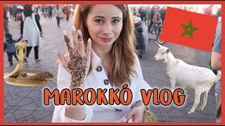 Marokkó VLOG  Kecskék és kígyóbűvölők  Viszkok Fruzsi [upl. by Asa]